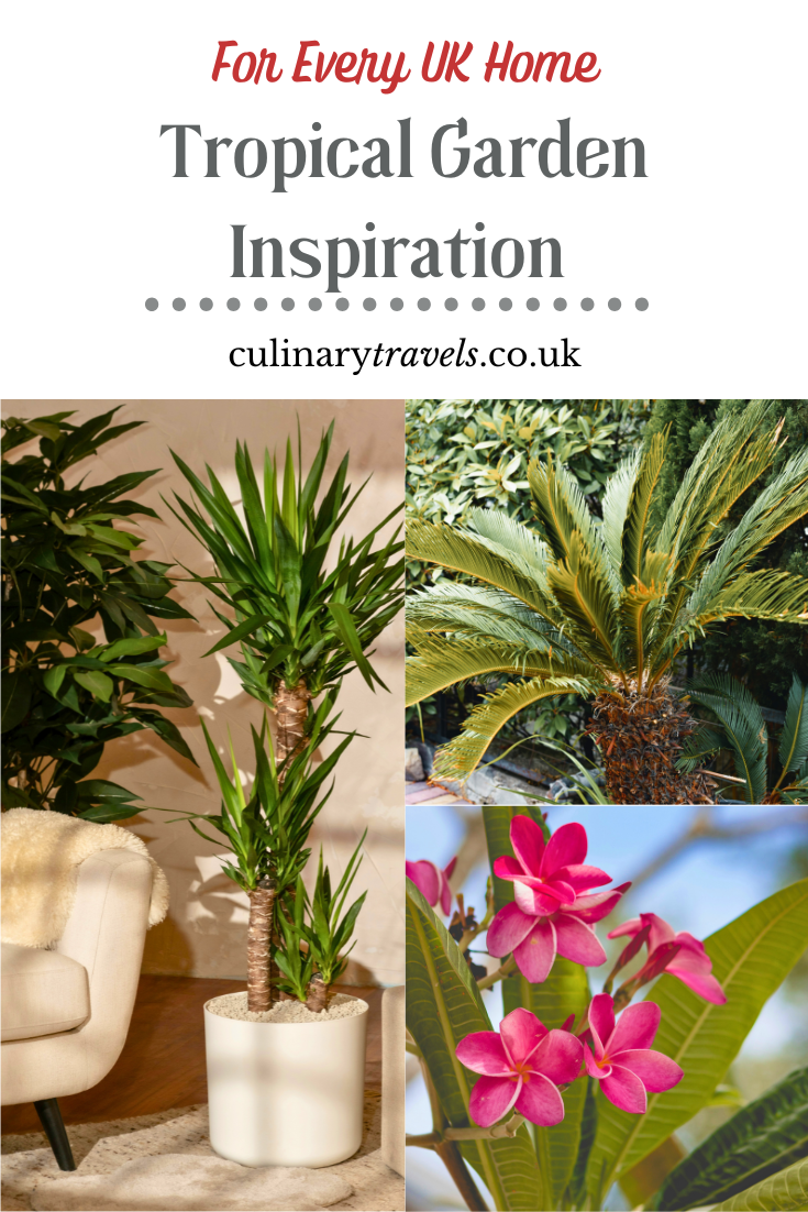 Garden Inspiration: A Touch of the Tropics at Home